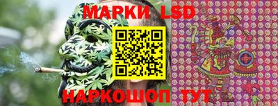 гидропоника Шахты
