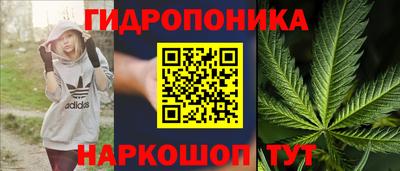 прущие грибы Шебекино