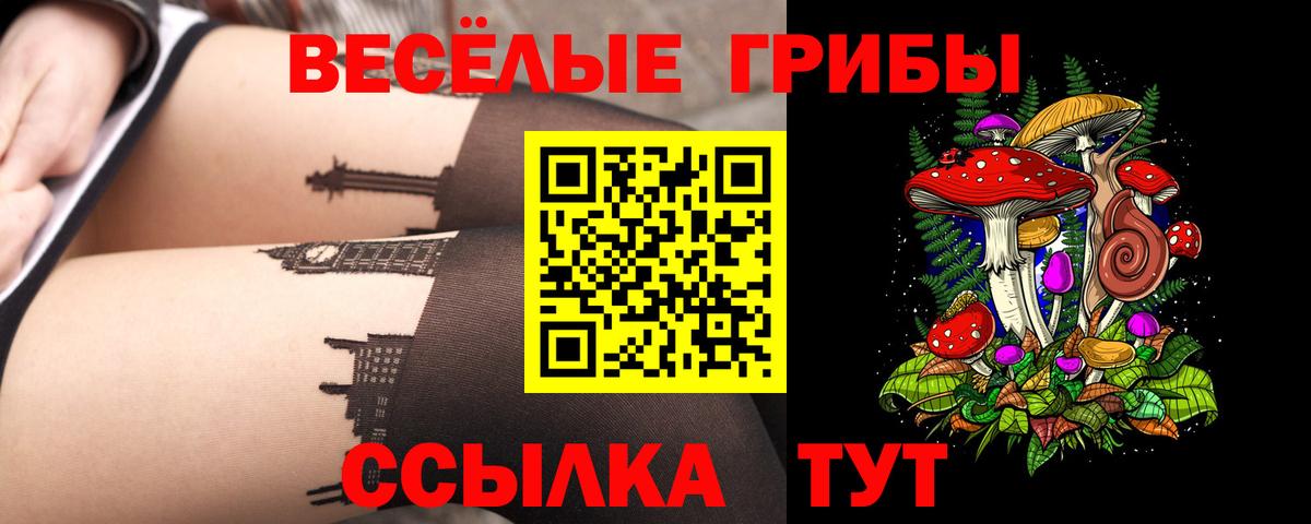 Псилоцибиновые грибы Magic Shrooms  Вход с VPN  Россия 
